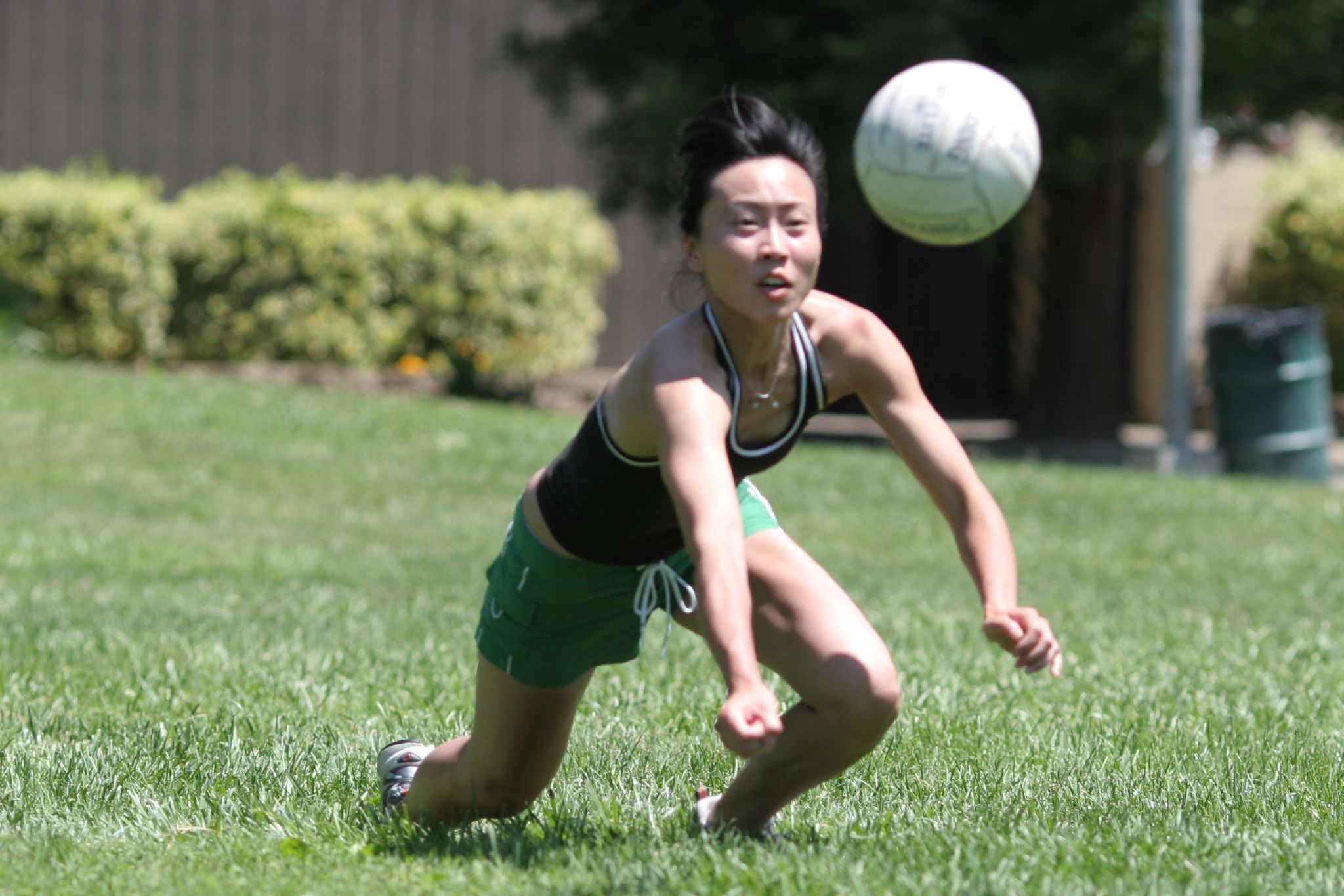 Categoría mayores adultos voleibol